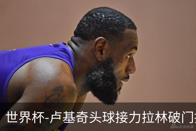 世界杯-卢基奇头球接力拉林破门扳平 加拿大1-1波黑